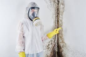 Professional Mold Removal & Remediation in Beverly Hills, FL